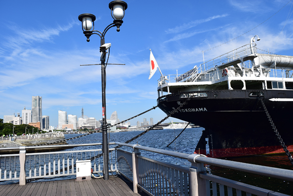 140929 yamashita park DSC_0083.jpg